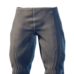 Assassin Trousers.png