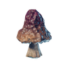 Grilled Red Mushroom.png