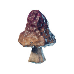 Grilled Red Mushroom.png
