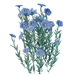 Flax Seedling.png