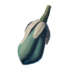 Yucca Fruit.png