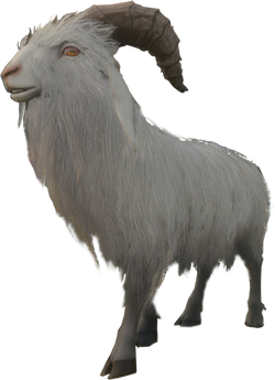 Goat.png