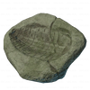 Trilobite Imprint.png