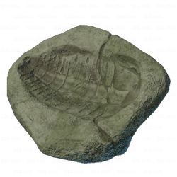 Trilobite Imprint.png