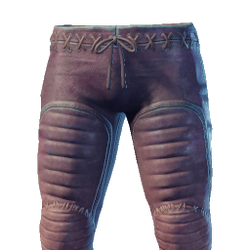 Tank Trousers.png