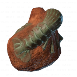 Prawn Fossil.png