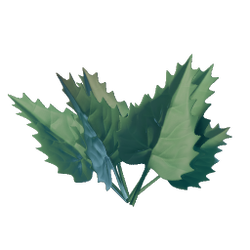 Stinging Nettle.png