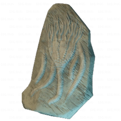 Larger Sea Lily Fossil.png