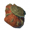 link = Crab Fossil