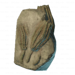 Smaller Sea Lily Fossil.png