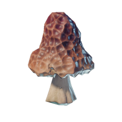 Red Mushroom.png