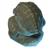 Trilobites.png