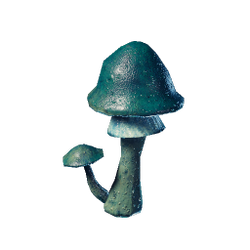 Roasted Azure Russula.png