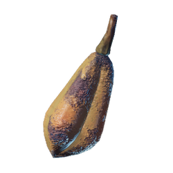 Grilled Yucca Fruit.png